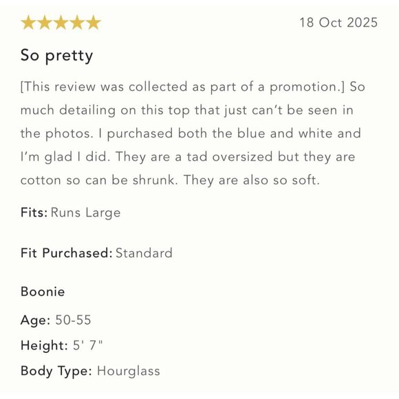 NWT Size XL - Anthropologie 100% Cotton Lace Swing Blouse Blue (NWT USD 108) - Picture 2 of 15